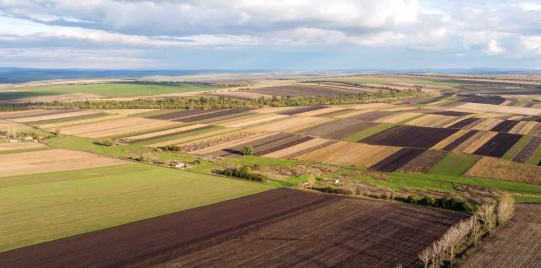 Soil Conservation Case Australia: A Sustainable Success